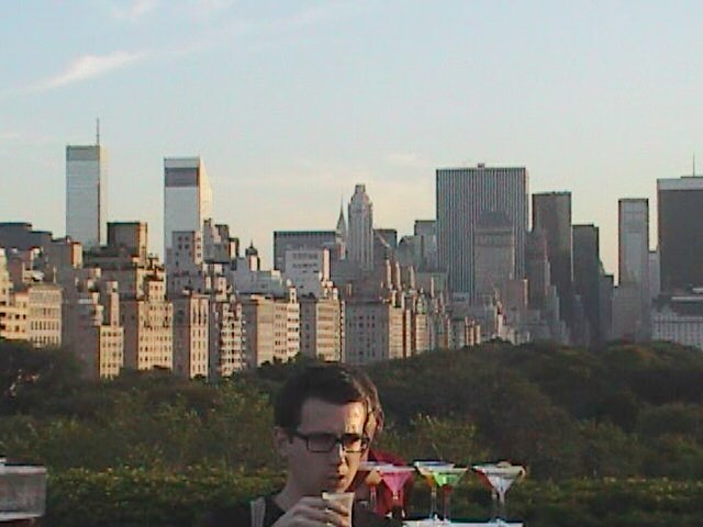 Cocktail party on the roof of the Metropolitan Museum of Art